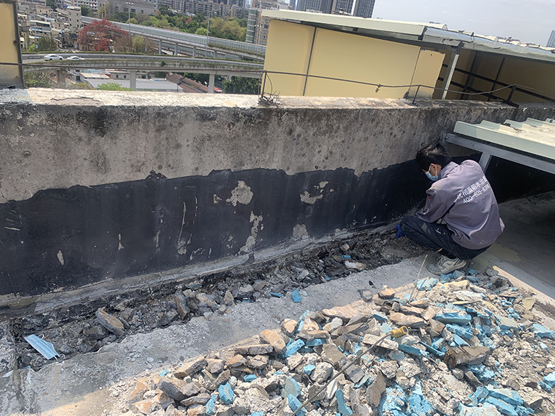 微信圖片_20250401103934 拷貝.jpg