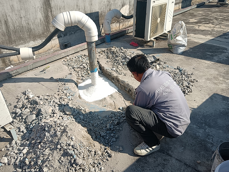 微信圖片_20250106153128 拷貝.jpg